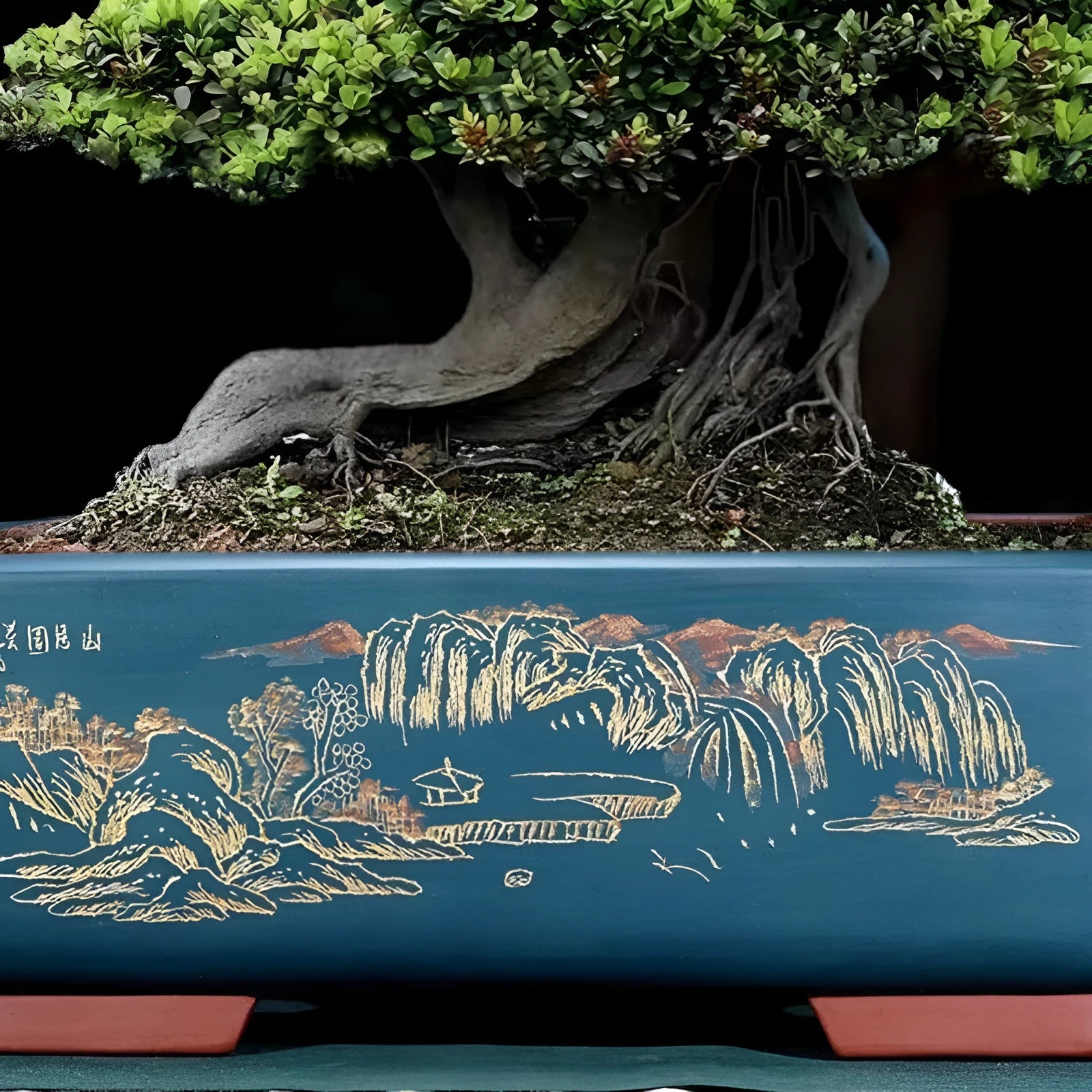 Handmade rectangular purple clay bonsai pot for Luohansong pine and Ganoderma lucidum display
