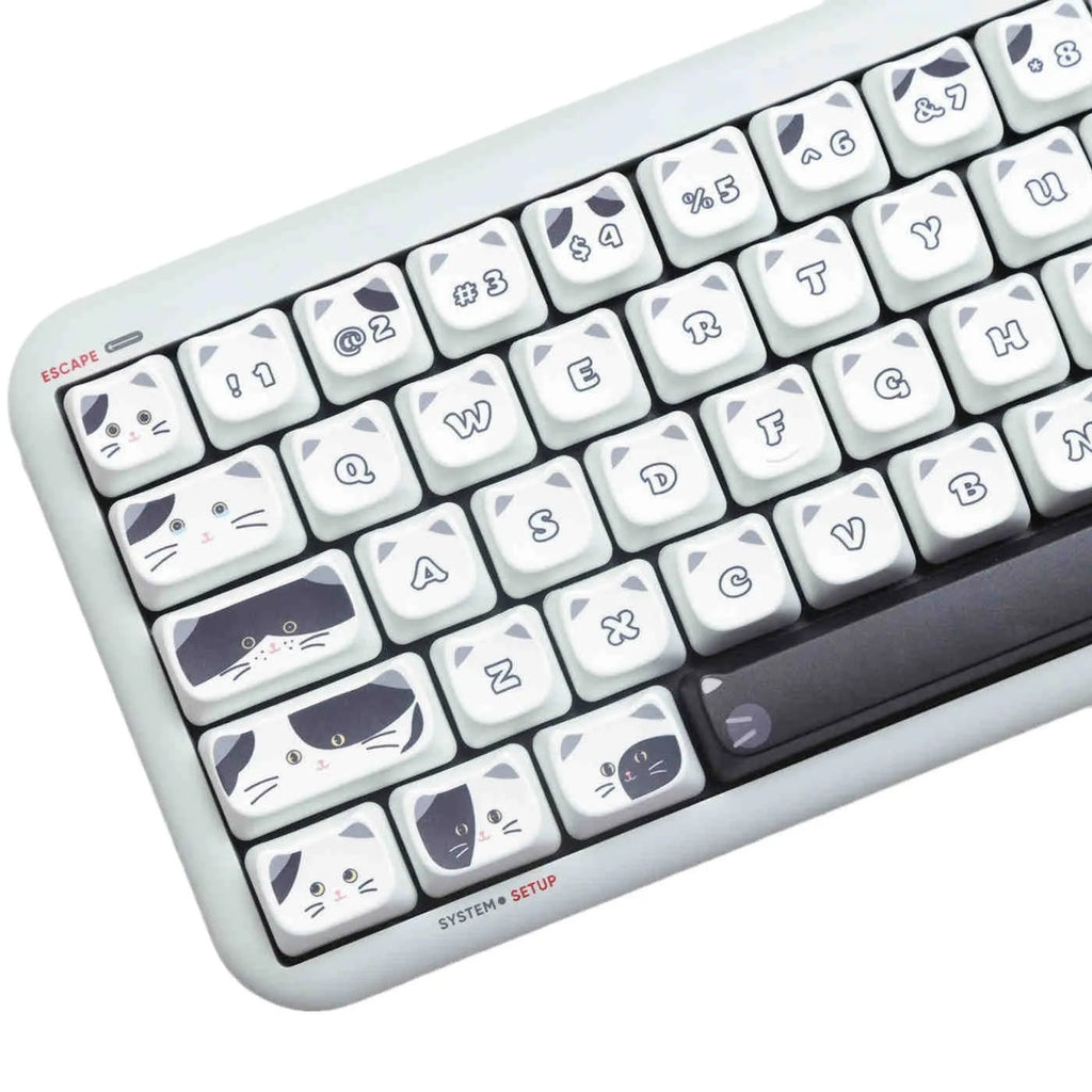 Black and white kitten sublimation PBT key cap set in boxed packaging, full layout excluding 7u and March space keys