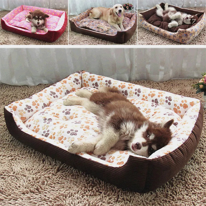 Beige plush dog bed with raised edges and removable cushion for small pets