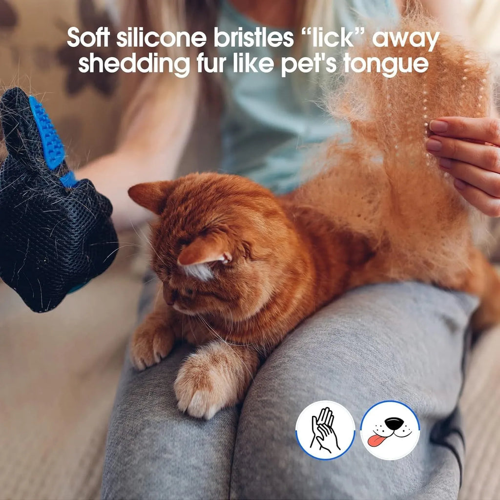 Blue pet grooming gloves with silicone tips for removing loose hair from dogs cats and horses