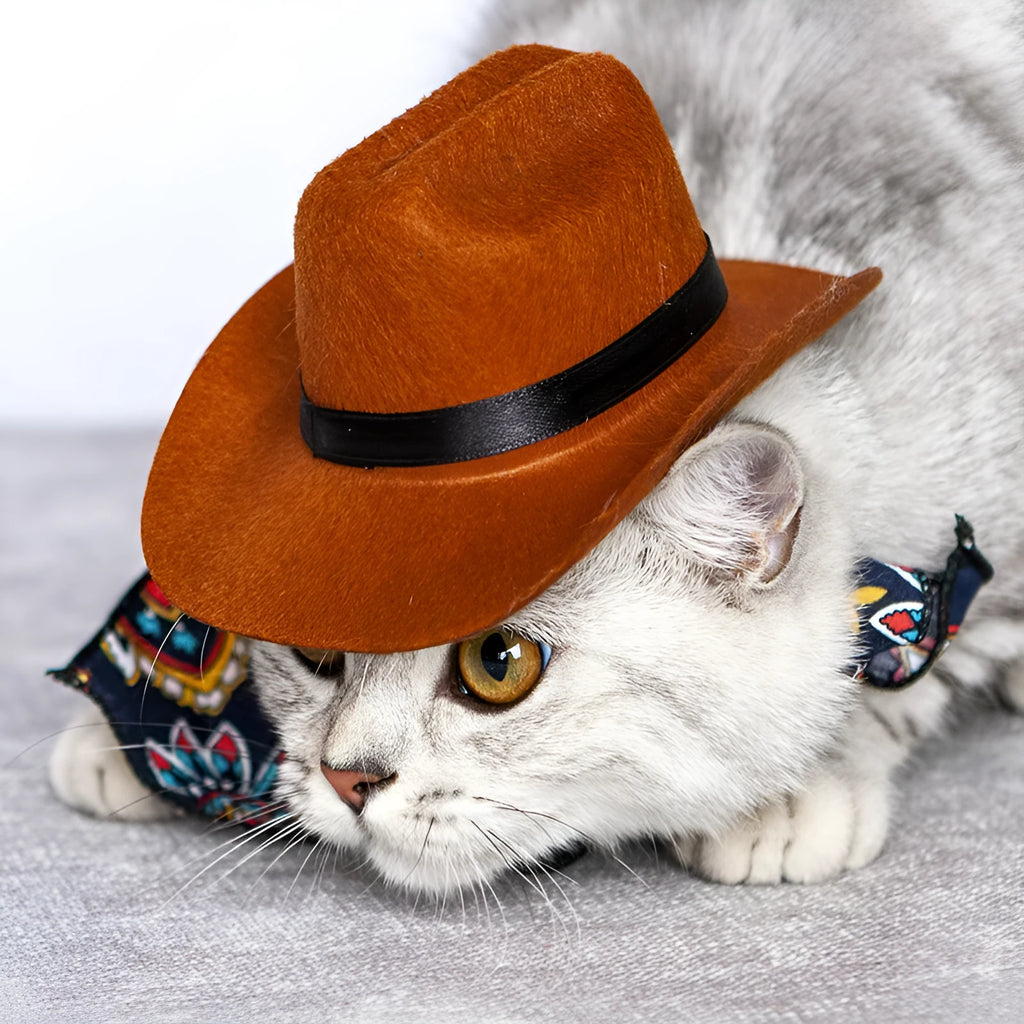 Pet cat western straw cowboy hat in brown colour on cat head