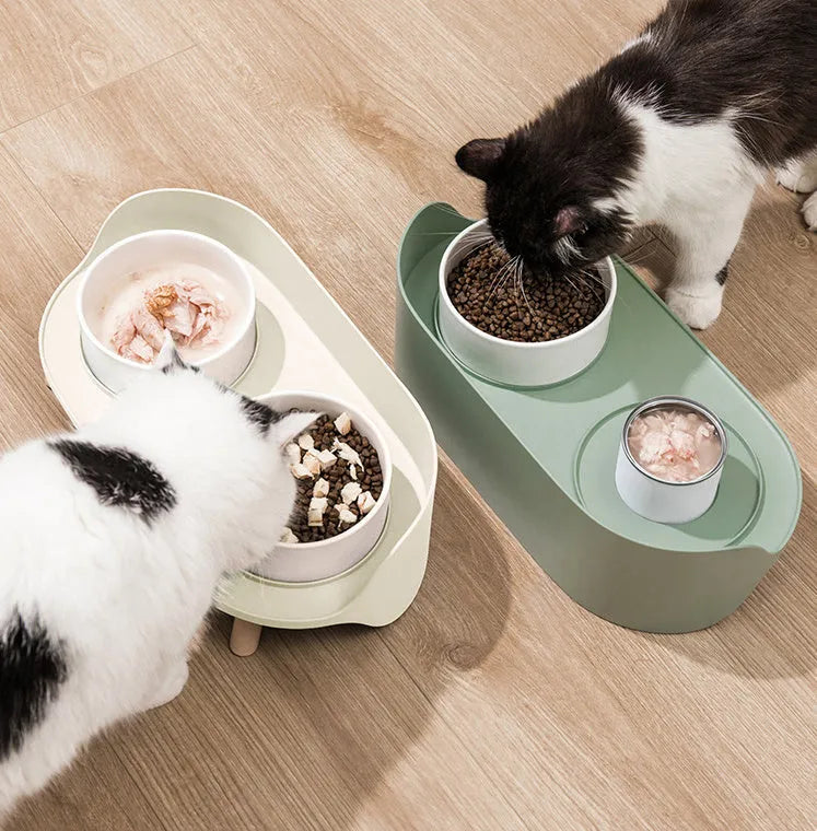 Green adjustable tilted pet feeder with two bowls for cats and dogs