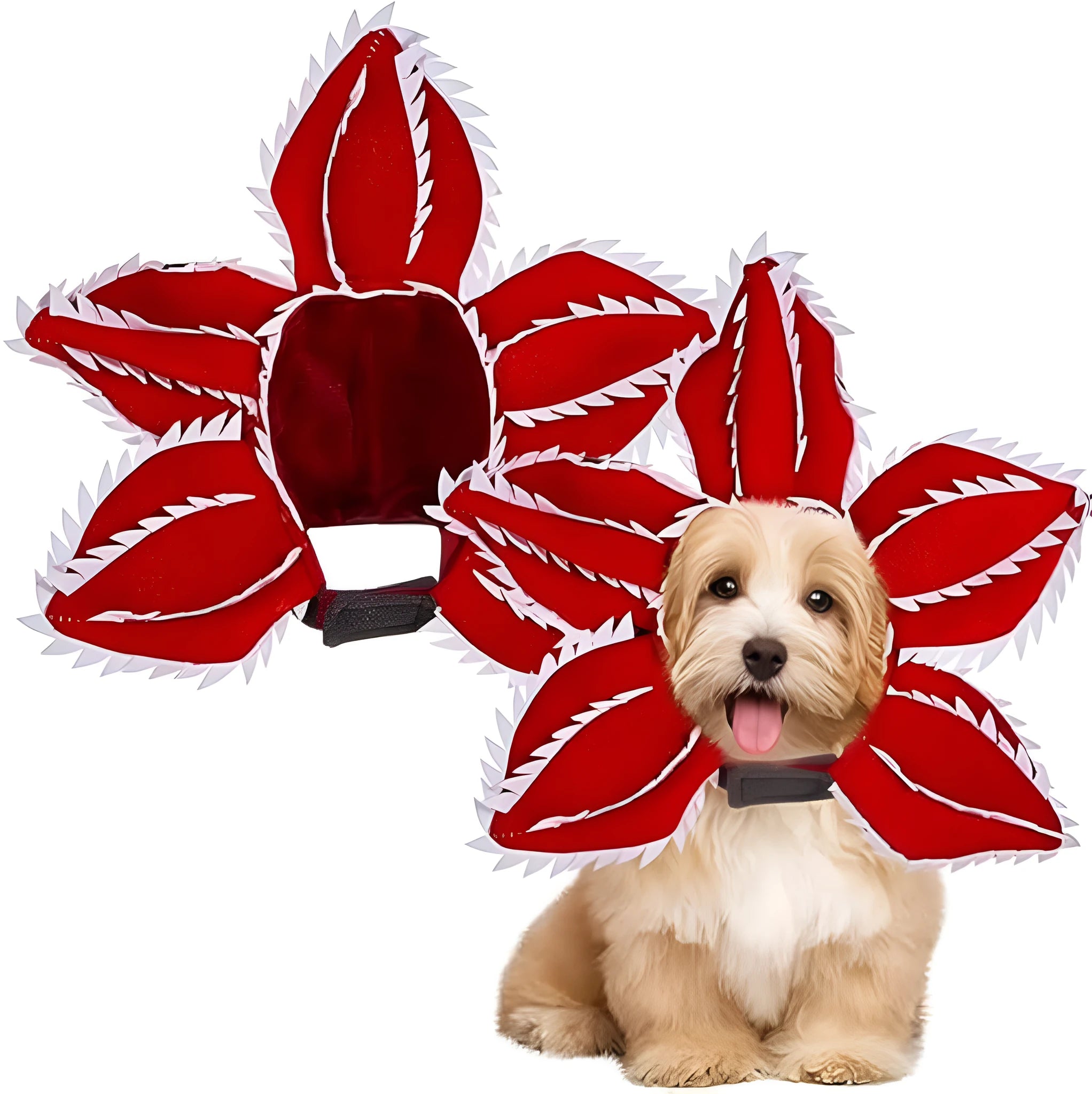 Halloween dog costume headband with chomper mouth, demon horns and alternative flower crown for medium-sized pets