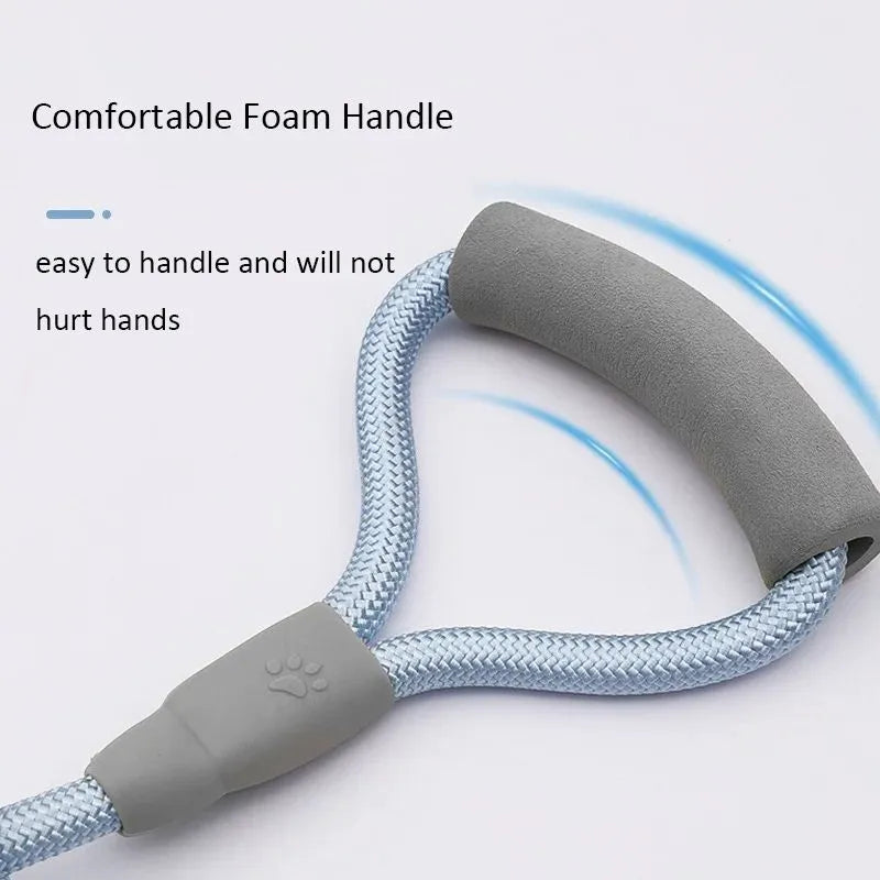 Double dog leash for two dogs with foam handle in blue colour showing metal buckles