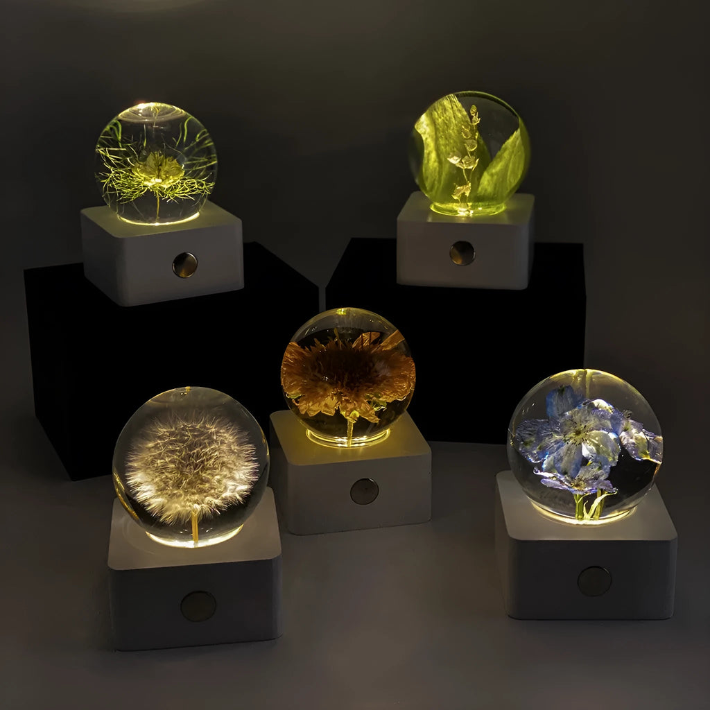 8cm dandelion and sunflower specimen USB night light on a desktop
