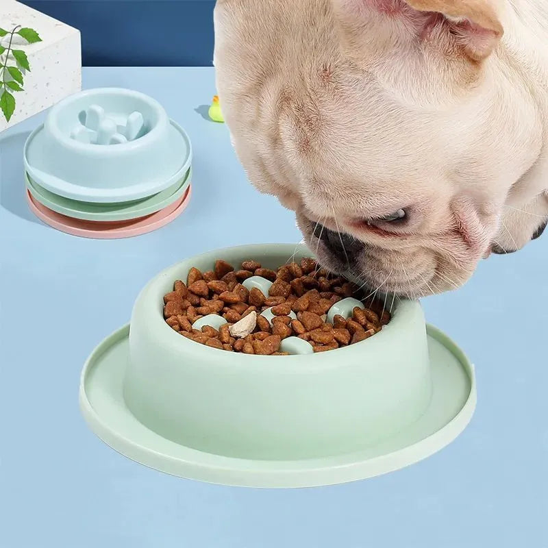Blue slow feeder dog bowl with raised maze pattern for anti-choke feeding