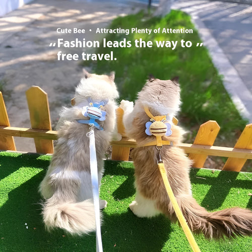 Bee-shaped adjustable cat harness and leash set in blue, pink, or yellow colour.