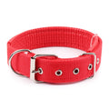 PP braid lined polypropylene PET foam dog collar in blue with nylon construction
