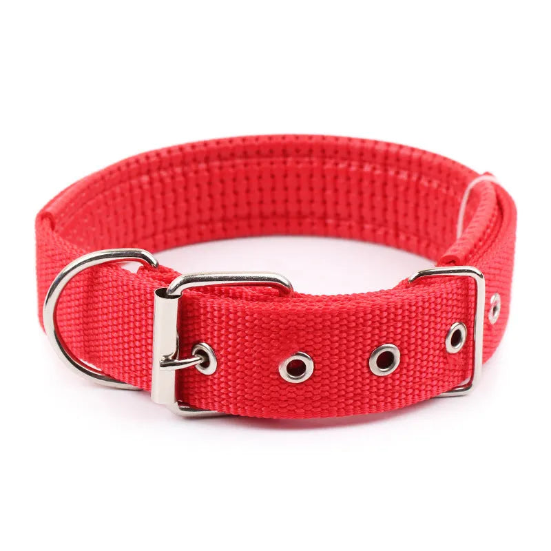 PP braid lined polypropylene PET foam dog collar in blue with nylon construction