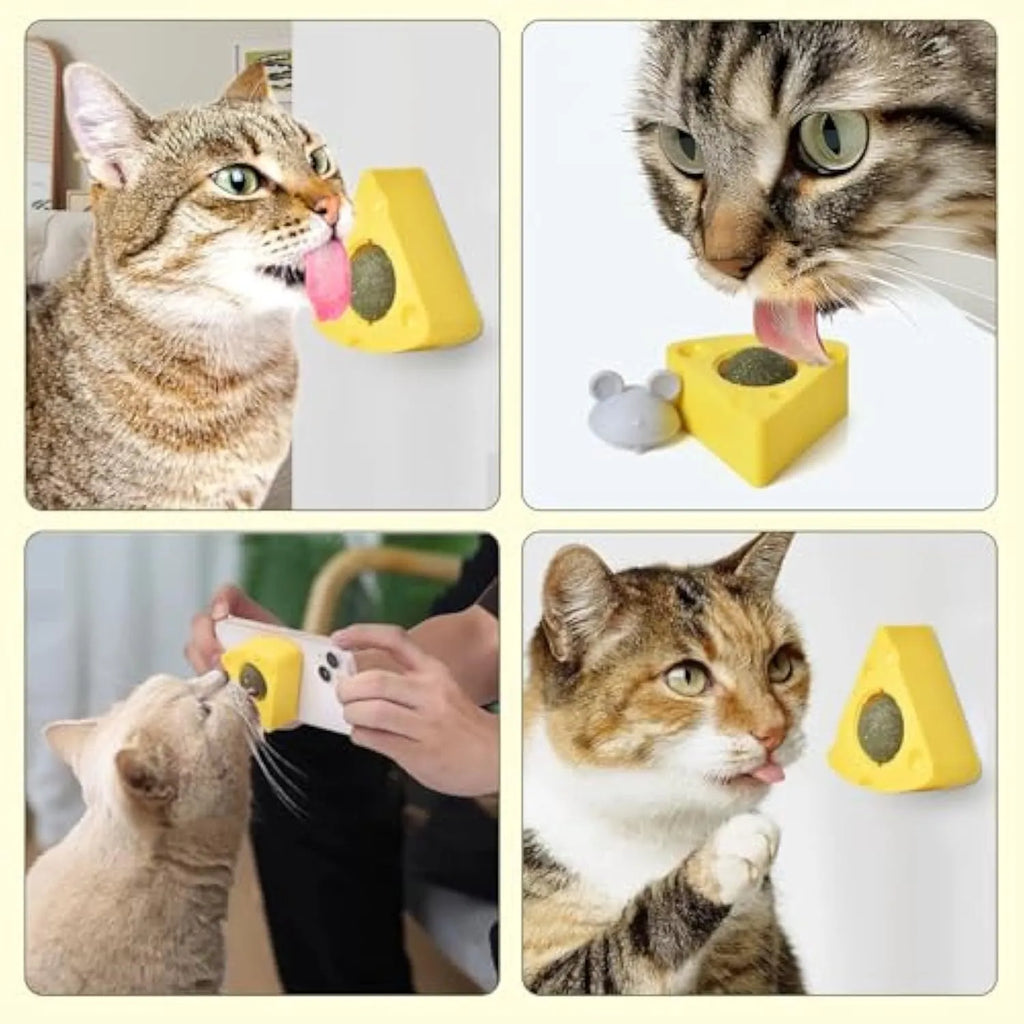 Cheese-shaped catnip balls on wall with mouse-shaped lid, natural catnip toy for cats