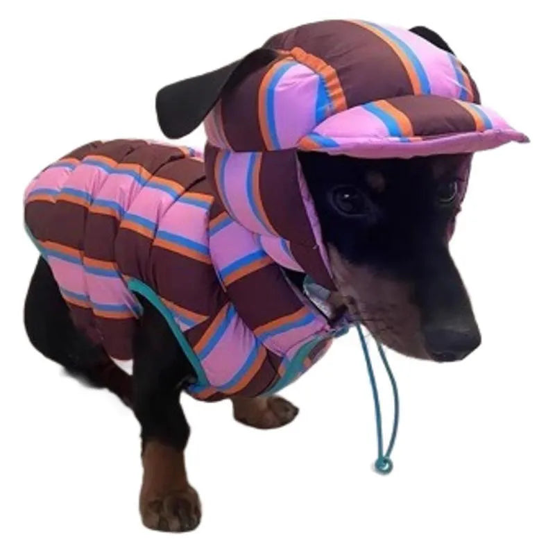 Dirty pink striped pet vest with matching hat for autumn and winter wear on small dog