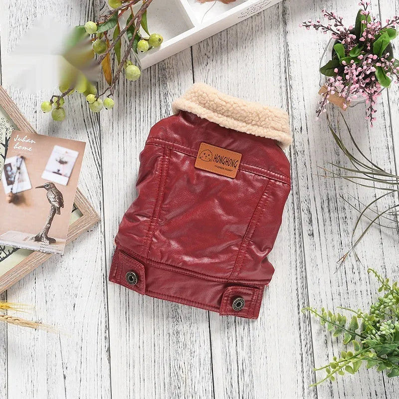 Red two-legged PU leather dog coat with fleece lining shown on a small dog, sized for winter.