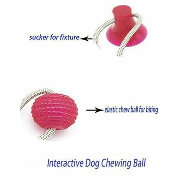 Dog biting sucker multifunction pet molar bite toy with rubber, TPR, and cotton fibre rope in red, blue, or green