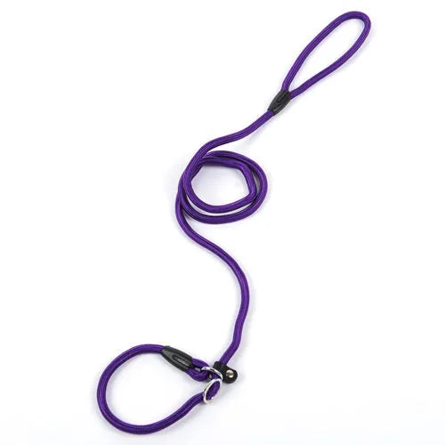 Nylon dog leash 150cm in length with clip end, available in multiple colours