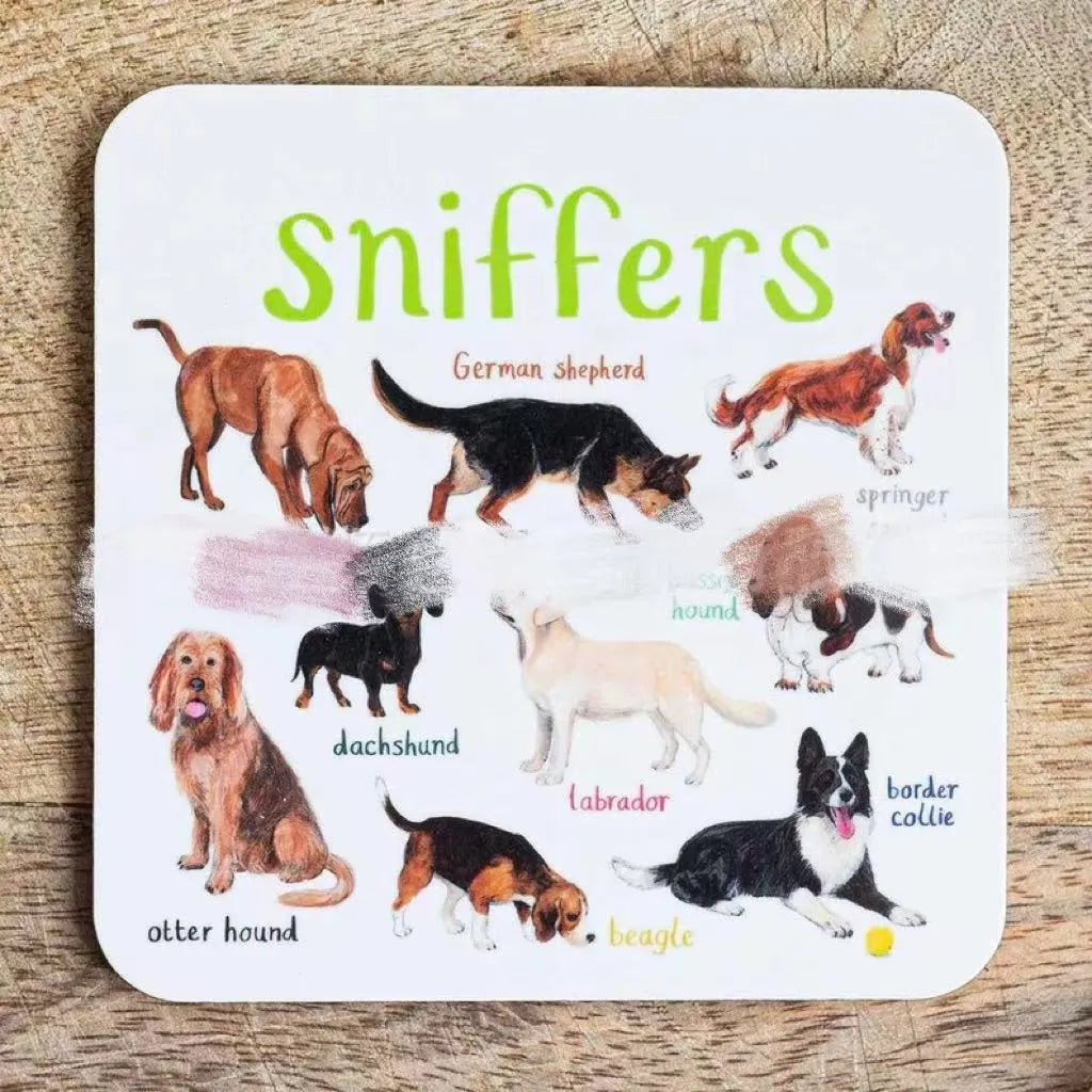 Set of 6 square bird pun coasters with PVC material, flower design, 10x10x0.35 cm each