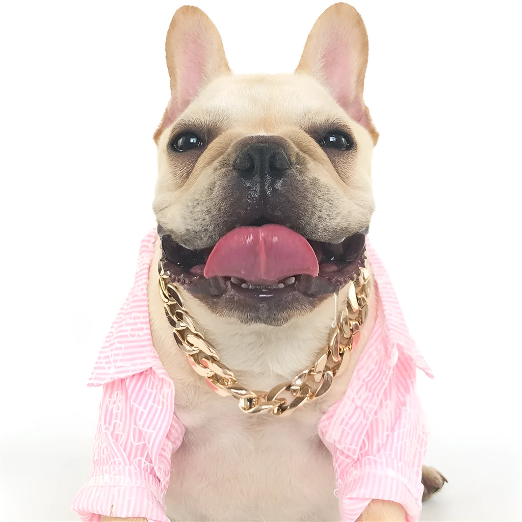 Adjustable gold chain dog collar with twisted design for small to medium sized pets