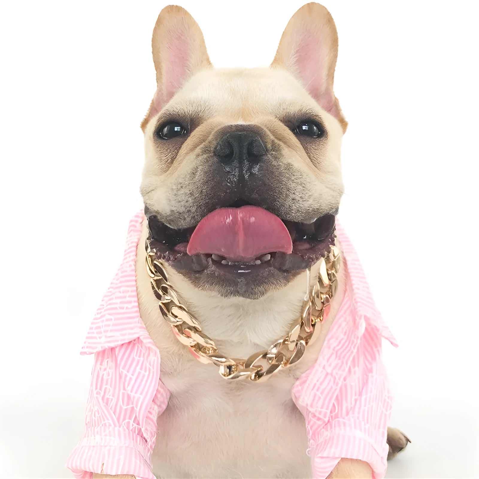 Adjustable gold chain dog collar with twisted design for small to medium sized pets