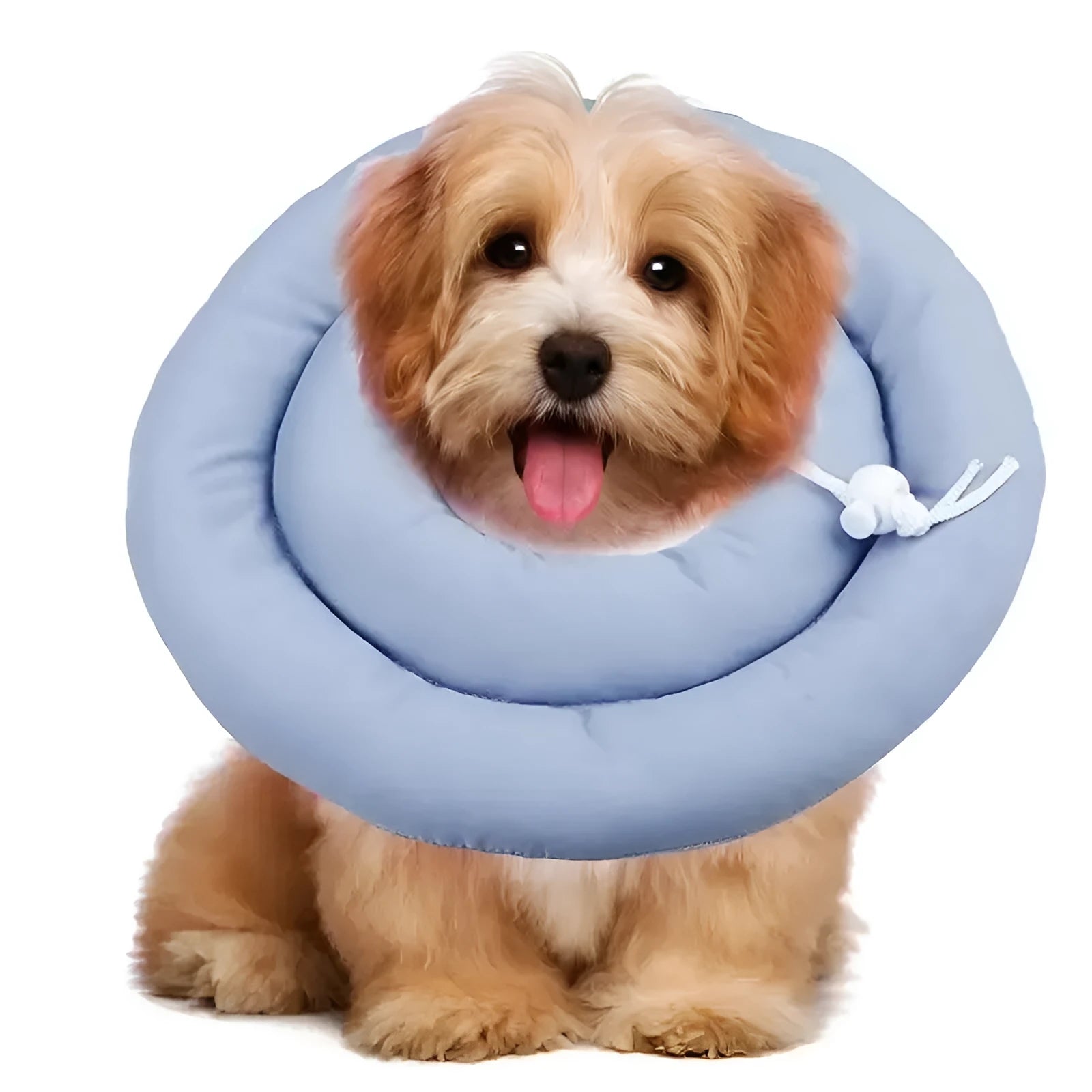Blue adjustable Elizabethan recovery collar for dog or cat with spring buckle.
