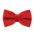 Cloth dog collar and leash set with matching vest, bow tie, and waste bag in multiple sizes