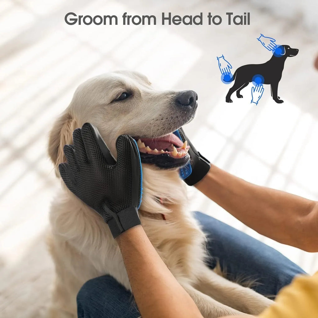 Blue pet grooming gloves with silicone tips for removing loose hair from dogs cats and horses