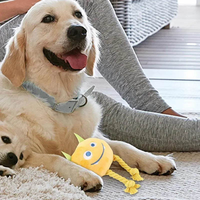 Blue and yellow dog squeaky toys with strong knot design for chewable teething and interactive play