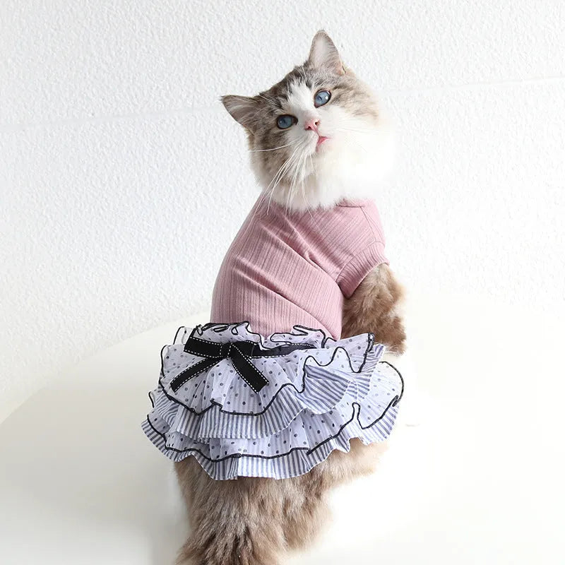 Polka dot lace princess dress for a small dog or cat in charcoal black colour.
