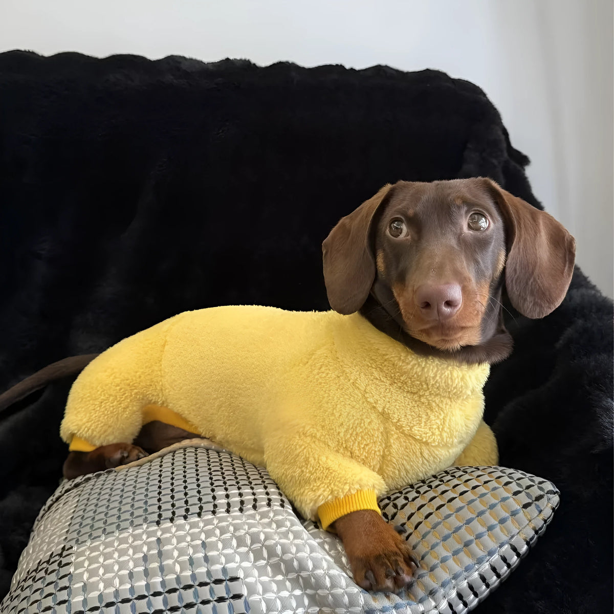 Sausage dog autumn winter warm thick bottom four legged coat in pink, fluorescent green, military green or light yellow, sizes S to 3XL