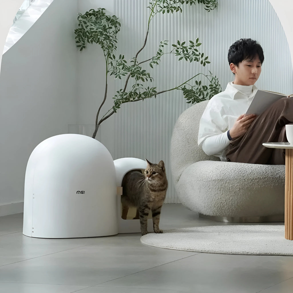 Oversized fully enclosed cat litter box in moss green colour, showing its large dimensions and solid ABS plastic construction.