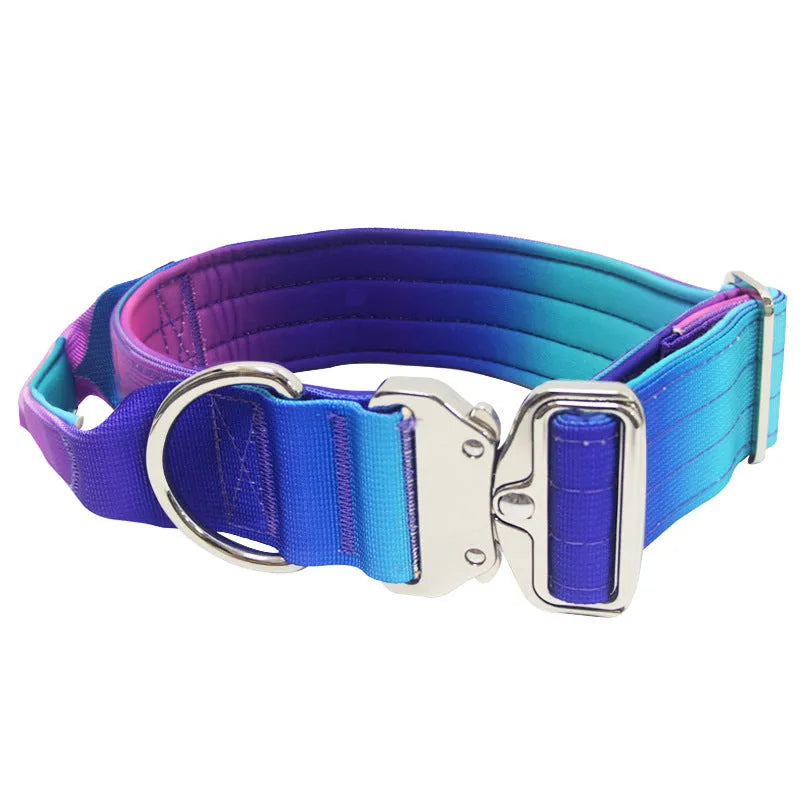 Gradient nylon dog collar and leash set, widened collar, Green Blue Pink Purple options, sizes L M, 2.5cm x 150cm leash
