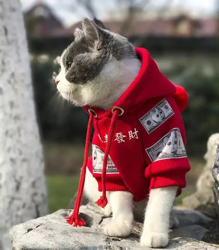 Pure cotton plus fleece pet sweater for cats and dogs in red colour, casual style