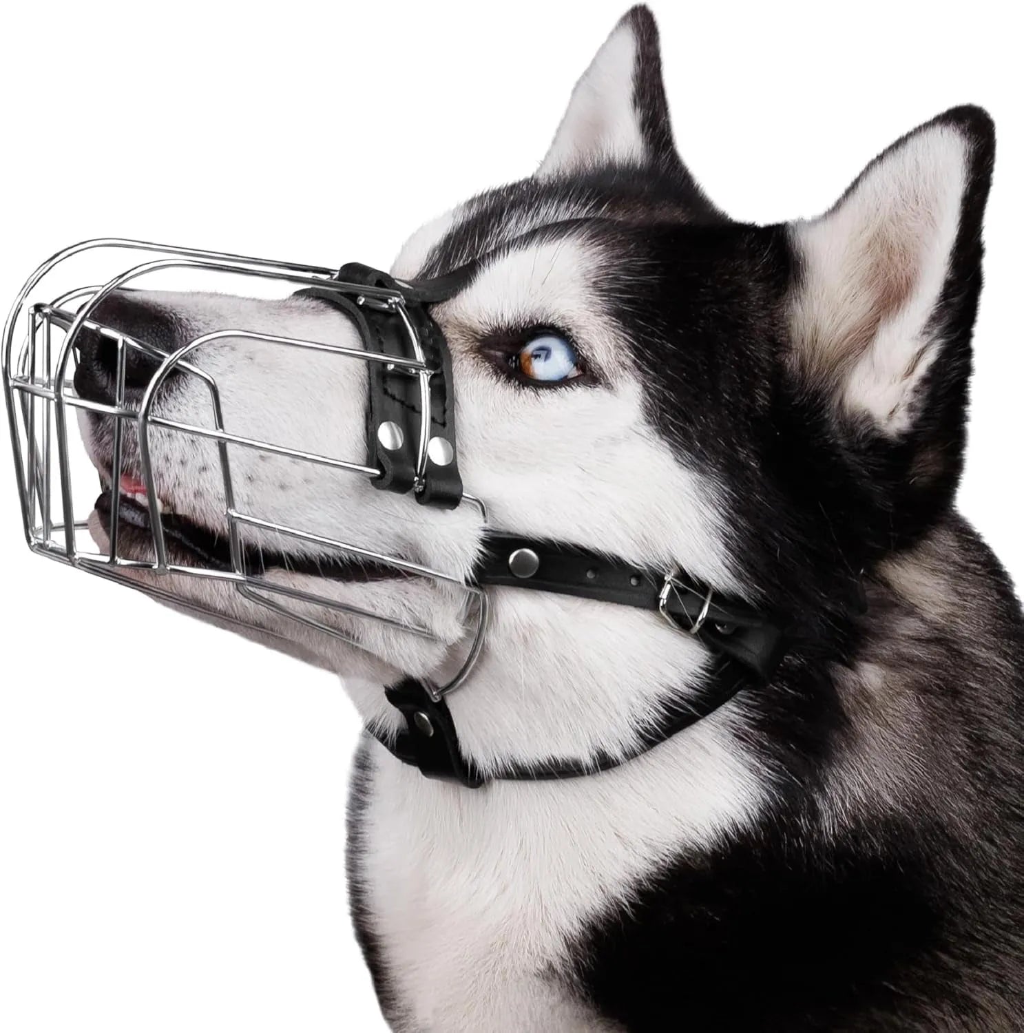 Black metal dog muzzle designed for a golden retriever or German shepherd