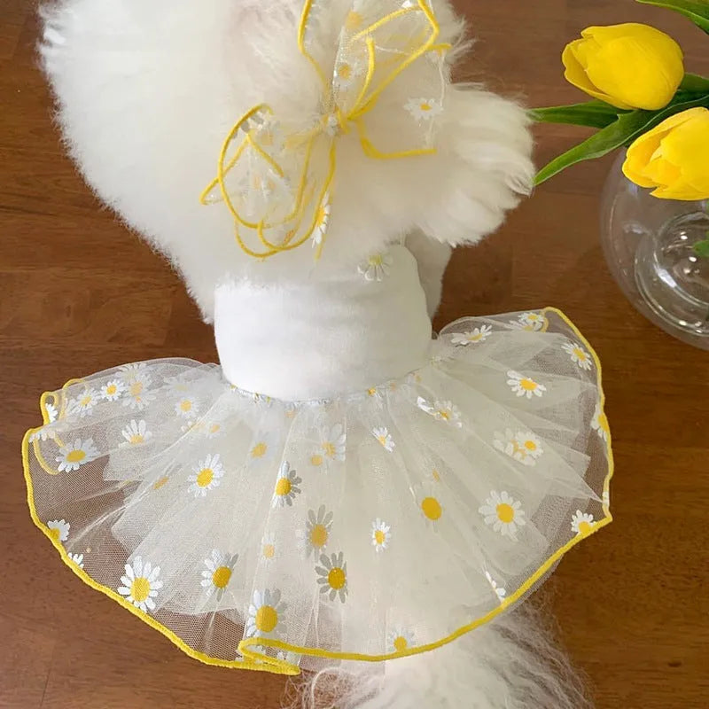 Yellow daisy print polyester dog clothes for summer wear in size L