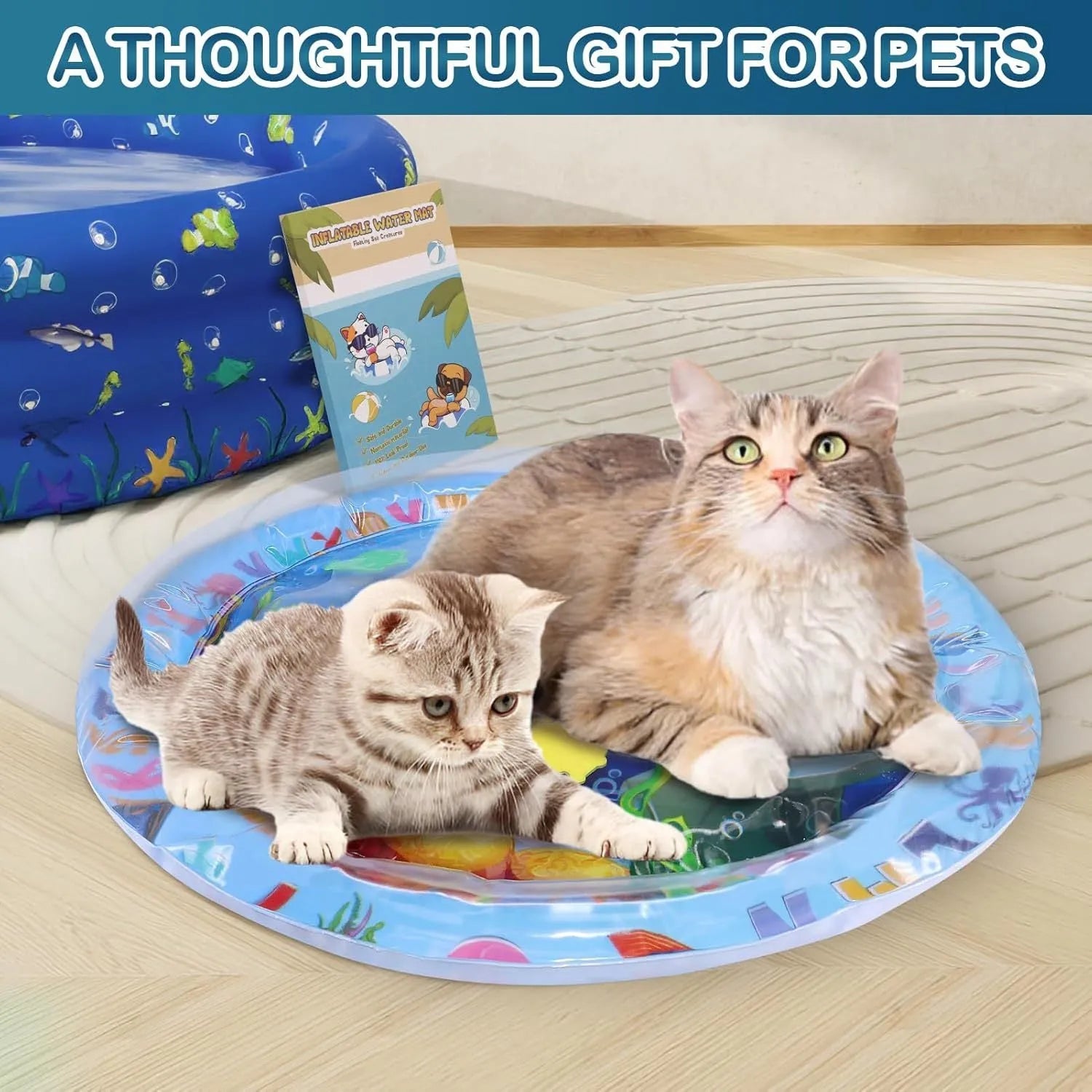 Large square blue water playmat for cats with floating fish toys inside, shown on a floor.