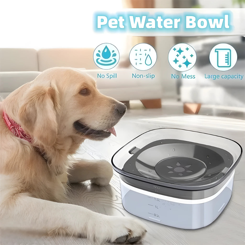 Transparent large dog water bowl with floating disc showing visible water level