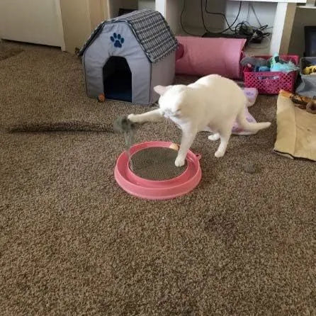 Blue interactive cat scratcher toy with ball track and replaceable corrugated cardboard scratching pad