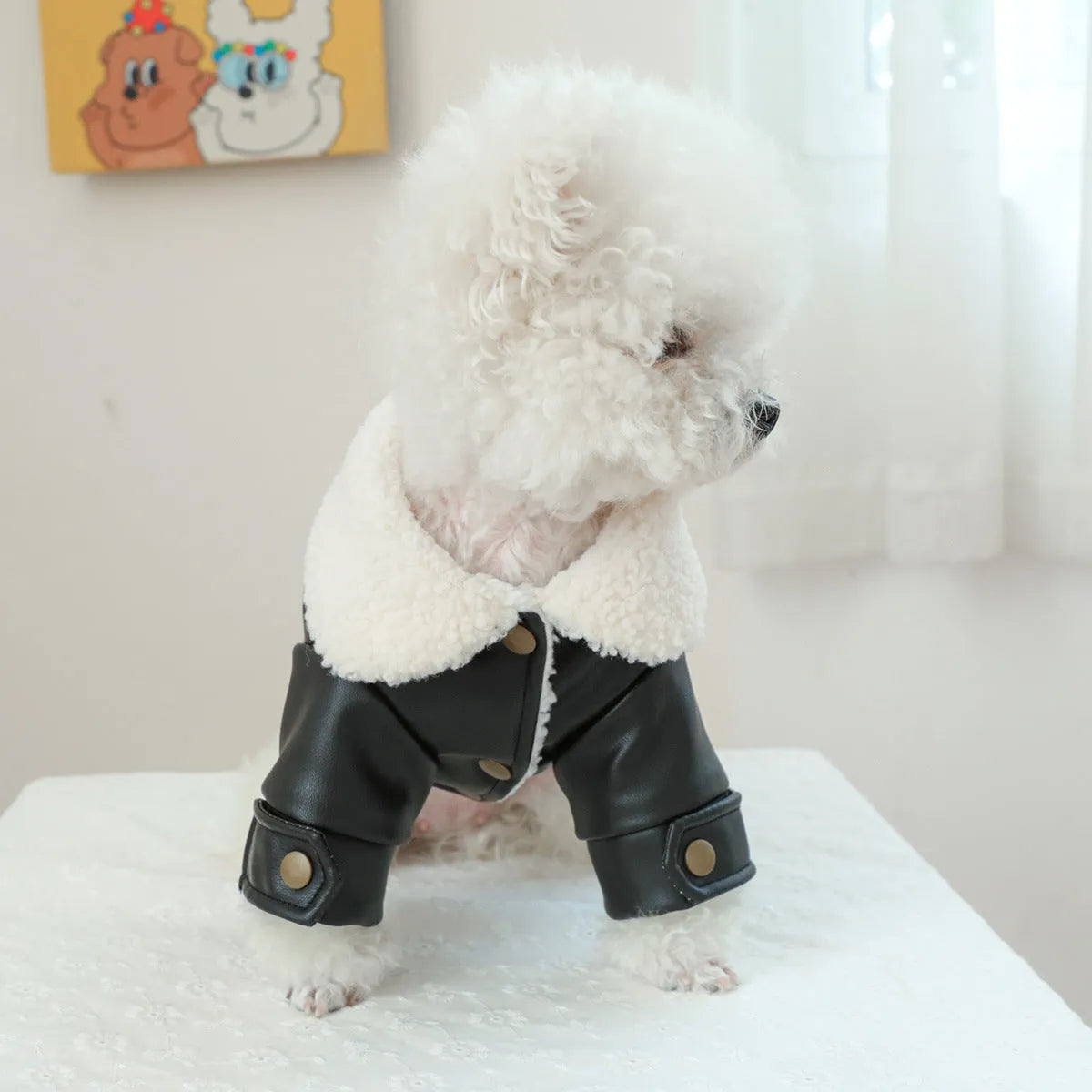 Fleece-lined padded dog coat in three colours with size chart showing measurements