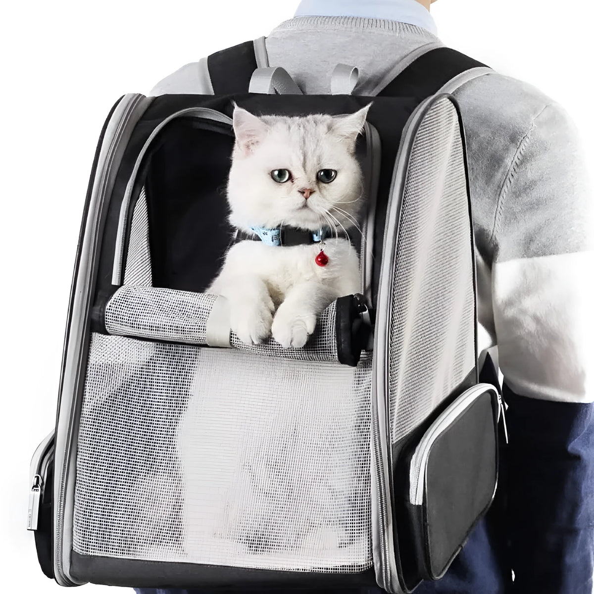 Grey or pink PVC mesh pet carrier backpack for cats and small dogs, 42cm x 31cm x 5cm, with chest buckles and removable mat