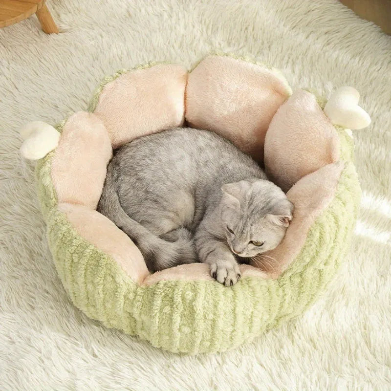 Green cactus print soft cat kennel showing enclosed pet house design.