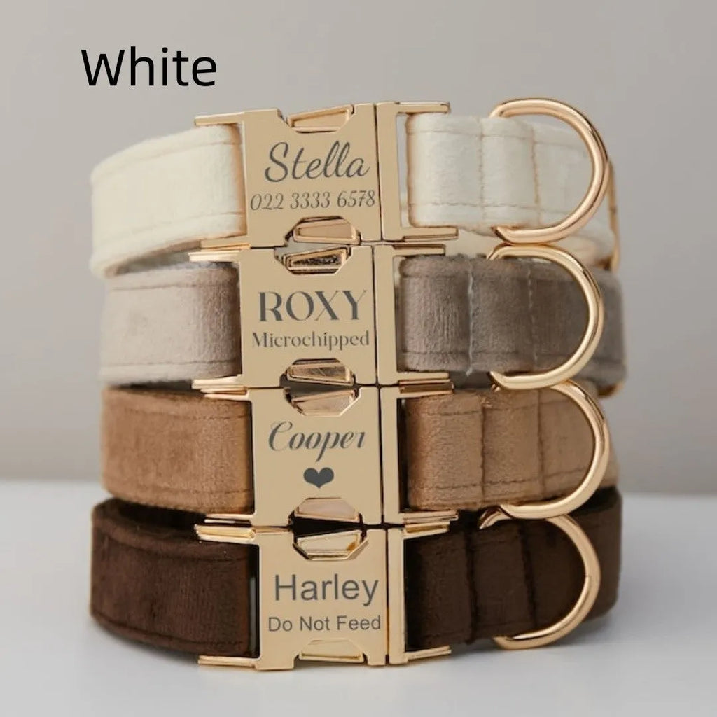Velvet dog collar with bow tie, cotton lining and metal buckle, shown in a choice of colours and sizes XXS to XL