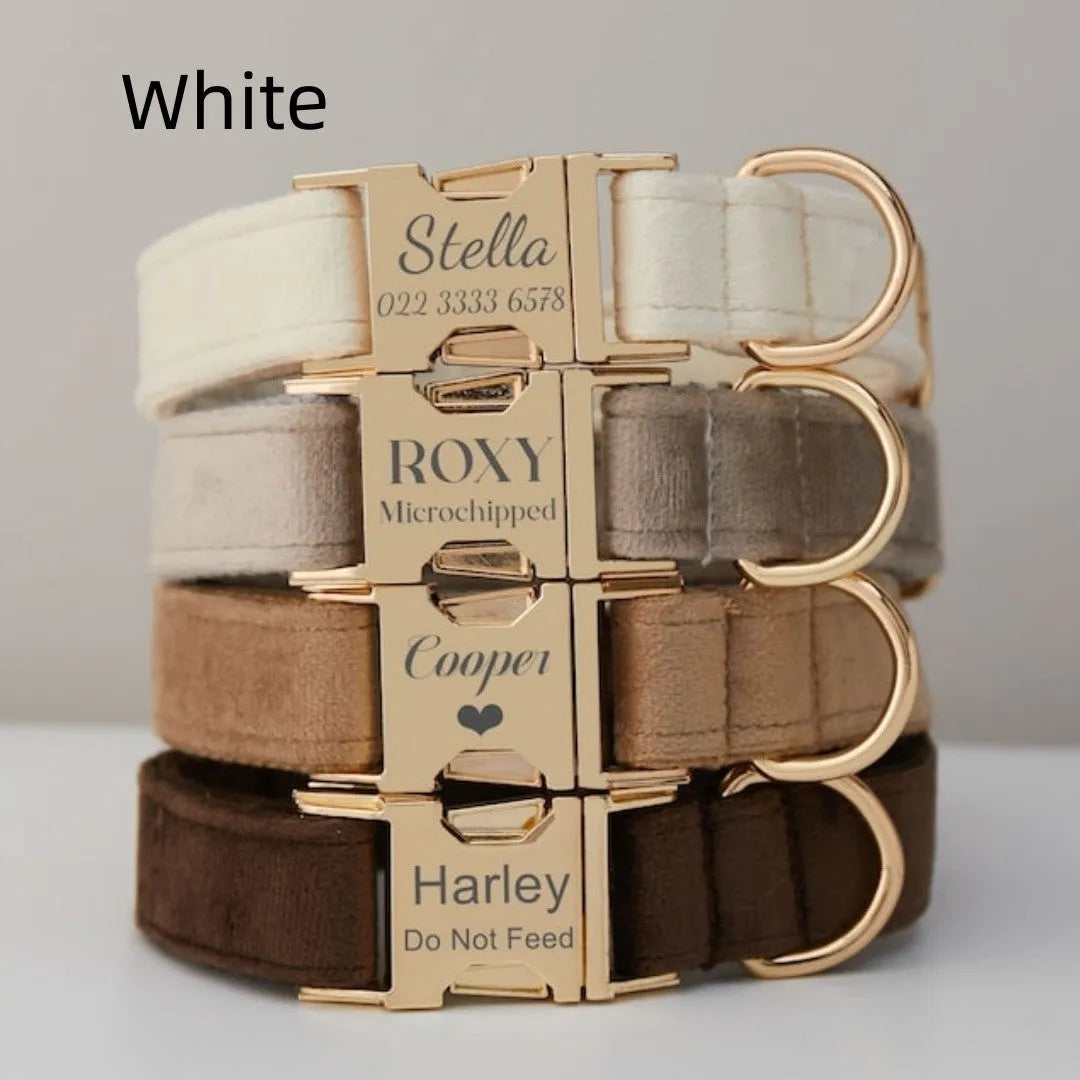 Velvet dog collar with bow tie, cotton lining and metal buckle, shown in a choice of colours and sizes XXS to XL
