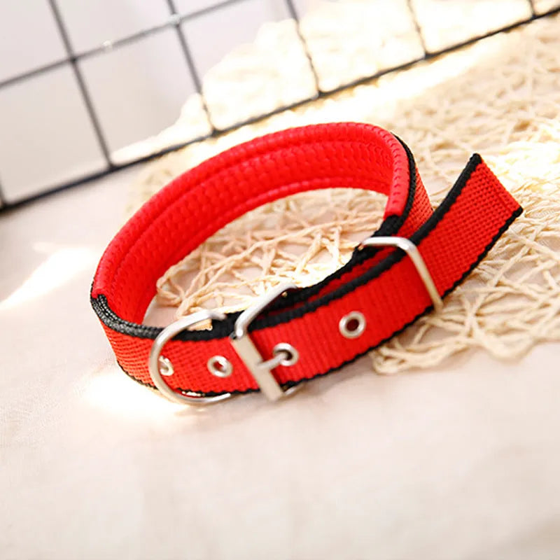 PP braid lined polypropylene PET foam dog collar in blue with nylon construction