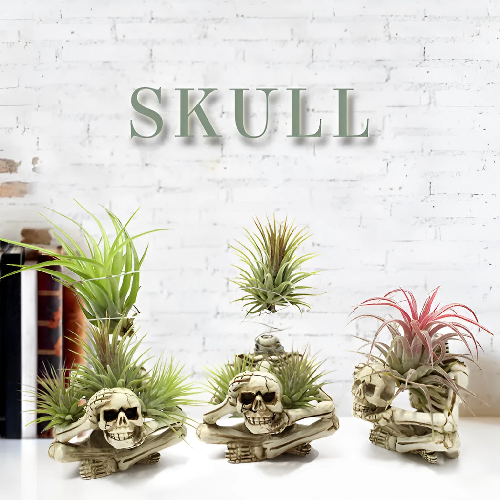 Skull-shaped resin Tillandsia bracket with iron insert for soilless air plant display in gothic style