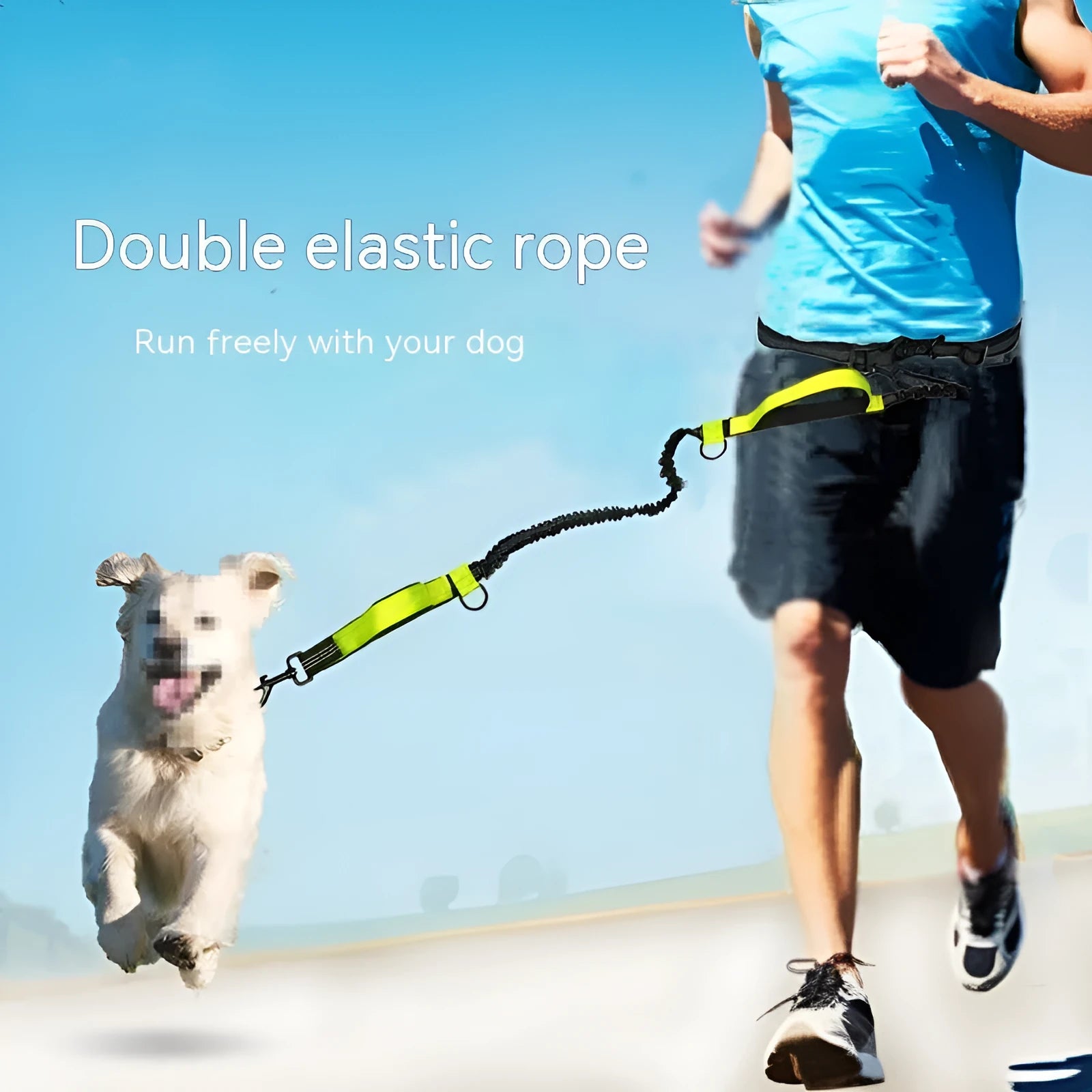 Blue adjustable dog running belt with waist attachment and retractable leash on a grey background.