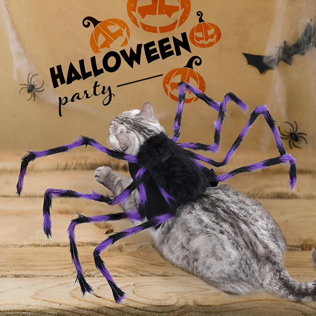 Grey and black spider Halloween costume for a dog on a carpet