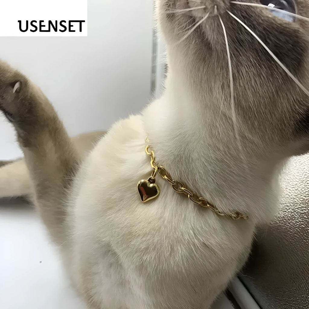 Stainless steel pet necklace with love heart pendant in gold or silver finish on curb chain