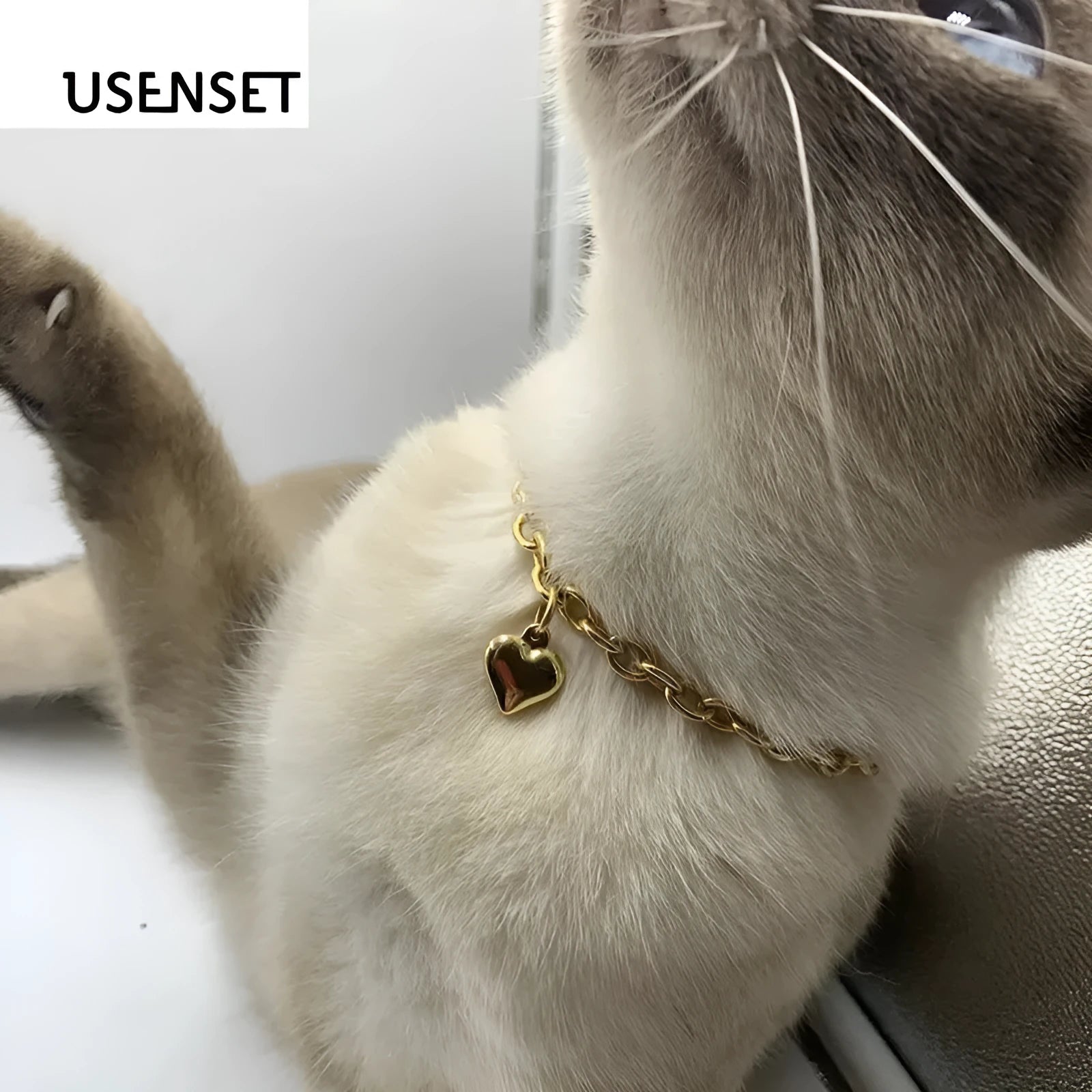 Stainless steel pet necklace with love heart pendant in gold or silver finish on curb chain
