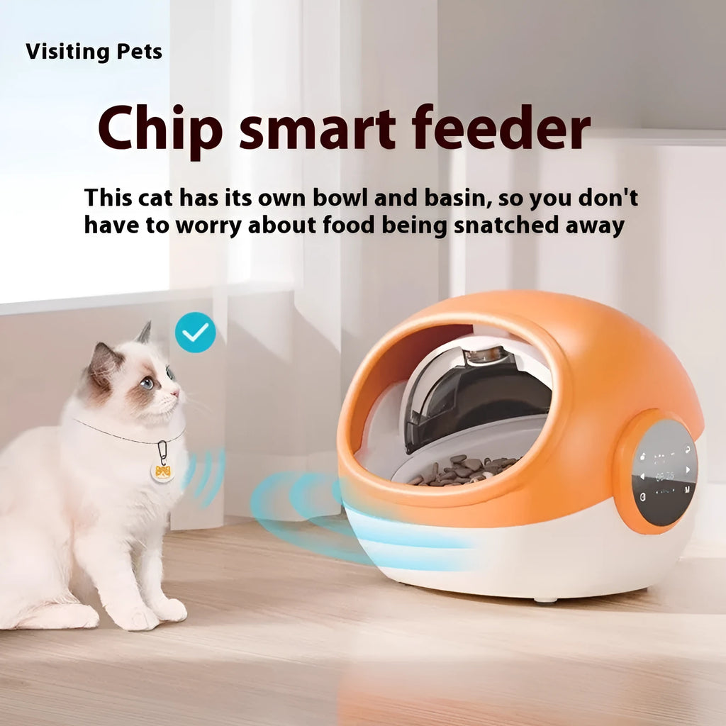 Plastic automatic cat feeder with chip identification and anti-grab design, UK plug