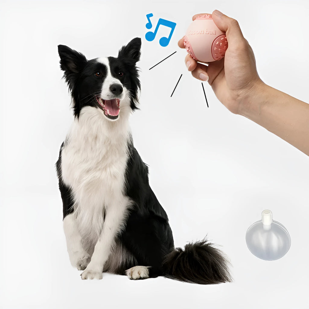 Green and pink 64mm rolling ball dog toy with smart motion technology