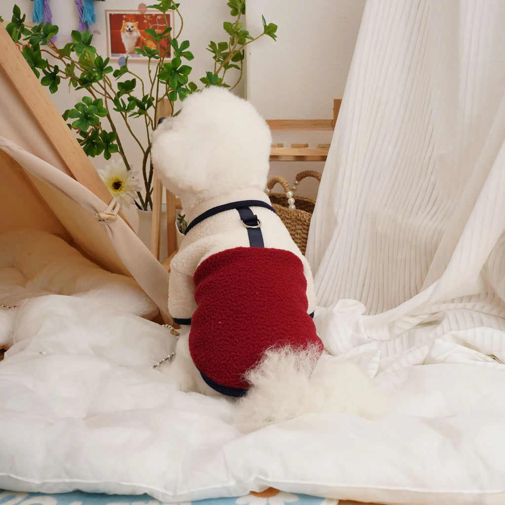 Lambswool fleece pet sweatshirt in caramel colour showing casual styling for dogs or cats