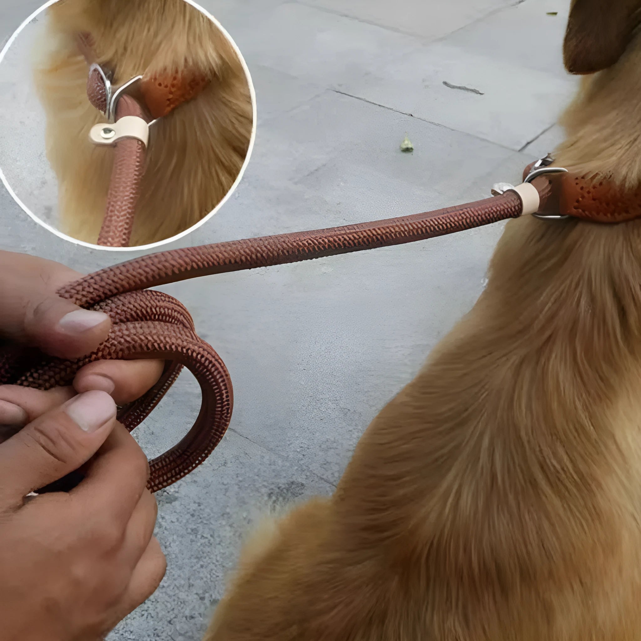 Brown nylon dog leash with P-chain attachment measuring 2.1 metres long